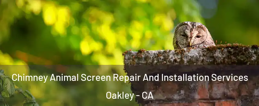  Chimney Animal Screen Repair And Installation Services Oakley - CA
