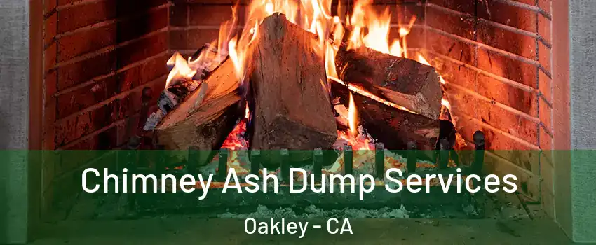  Chimney Ash Dump Services Oakley - CA