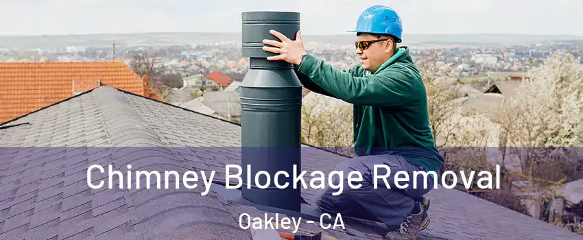  Chimney Blockage Removal Oakley - CA