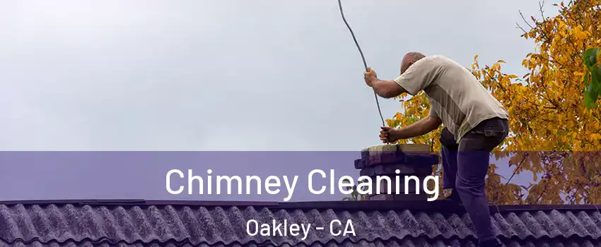  Chimney Cleaning Oakley - CA