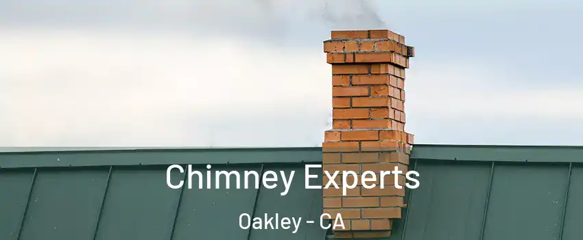 Chimney Experts Oakley - CA