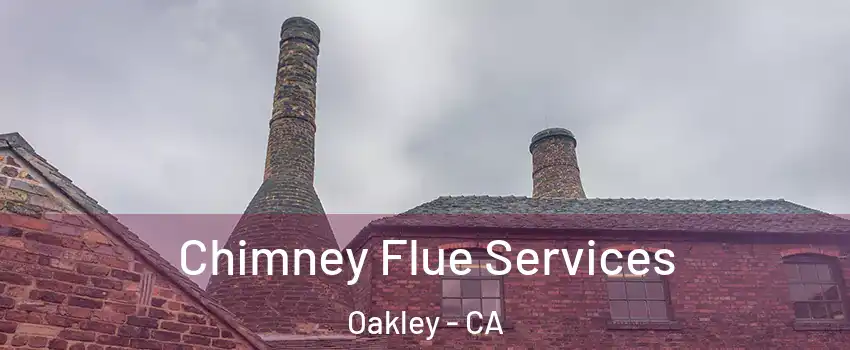  Chimney Flue Services Oakley - CA