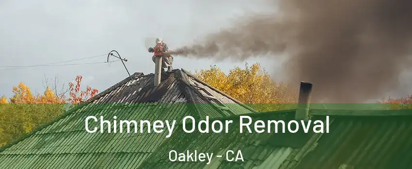  Chimney Odor Removal Oakley - CA