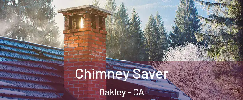  Chimney Saver Oakley - CA