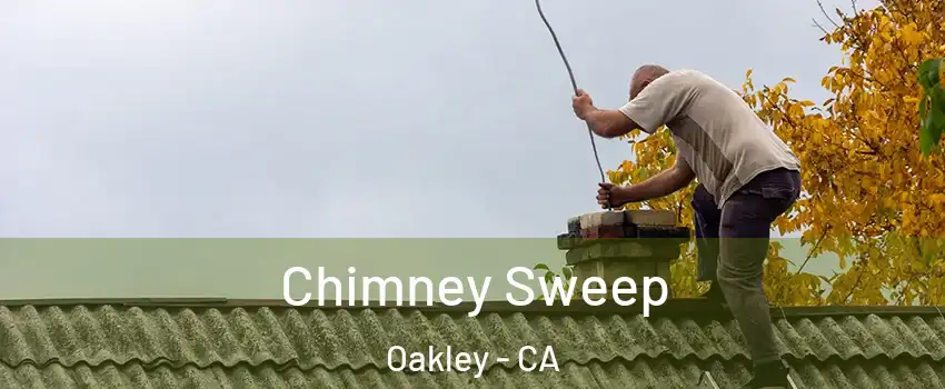 Chimney Sweep Oakley - CA