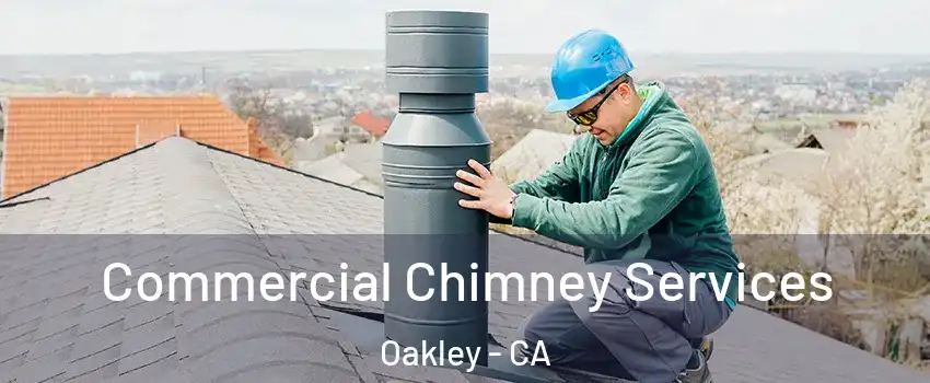  Commercial Chimney Services Oakley - CA