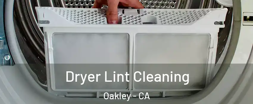  Dryer Lint Cleaning Oakley - CA