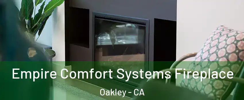 Empire Comfort Systems Fireplace Oakley - CA