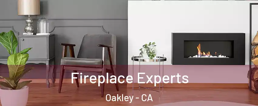  Fireplace Experts Oakley - CA