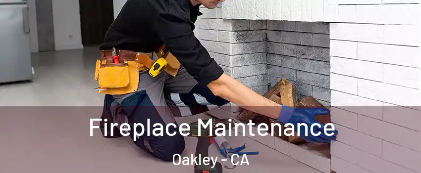  Fireplace Maintenance Oakley - CA