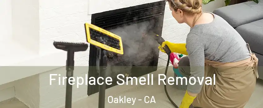  Fireplace Smell Removal Oakley - CA
