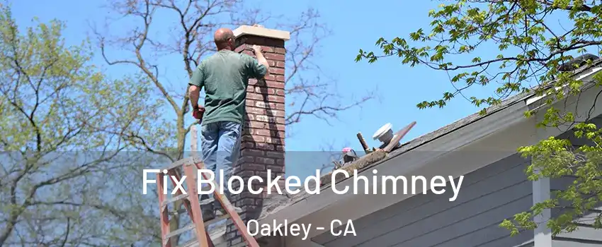  Fix Blocked Chimney Oakley - CA