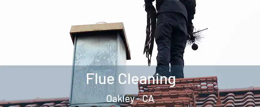  Flue Cleaning Oakley - CA