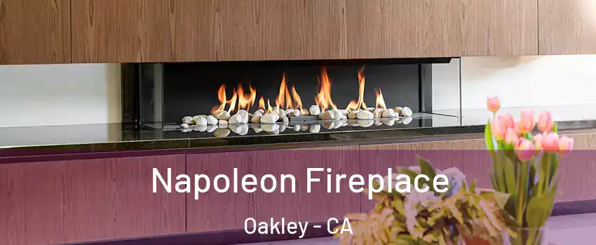  Napoleon Fireplace Oakley - CA